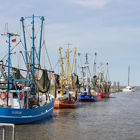 Rotersand Rotersand 01 * Dorumer Neufeld