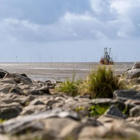 Rotersand Rotersand 01